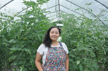 Angie Oliva-greenhouse tomatoes